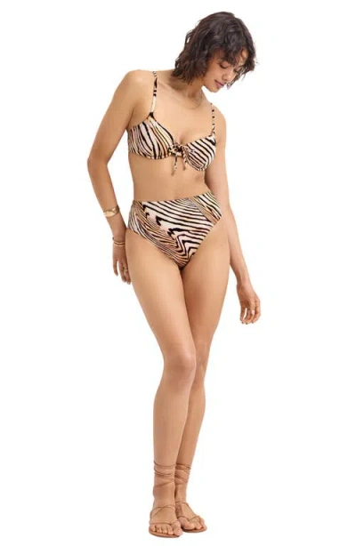 Vitamin A ® Barcelona High Waist Bikini Bottoms In Brown