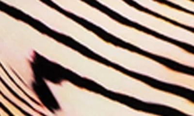 Vitamin A ® Barcelona High Waist Bikini Bottoms In Brown