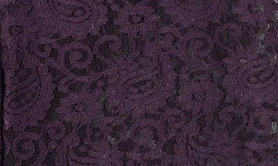 Mango Mid Rise Straight Leg Lace Pants In Purple