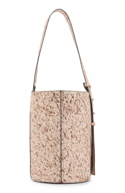 Mango Genuine Calf Hair & Leather Bucket Bag In Brown