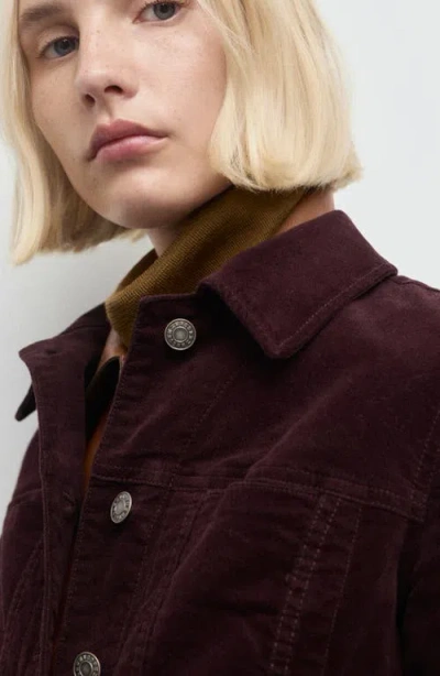Mango Velvet Bomber Jacket With Stitching Wine In Burgundy