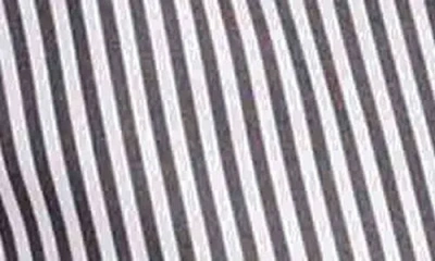 Foxcroft Dianna Stripe Cotton Button-up Shirt In Multi