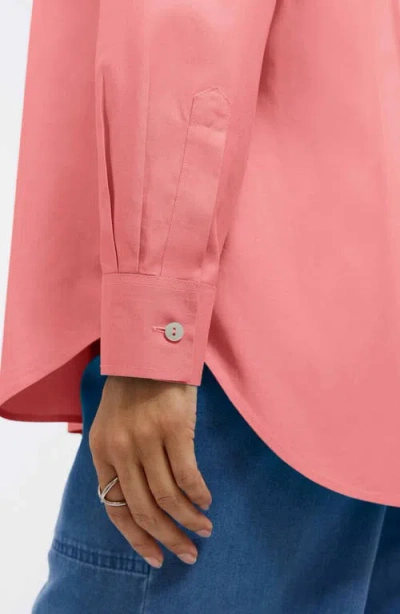 Foxcroft Non-iron Boyfriend Button-up Shirt In Pink
