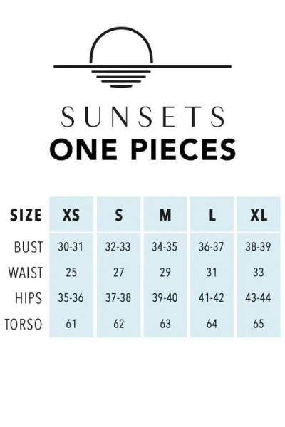 Sunsets Pamela One Piece Swimsuit In Neutral