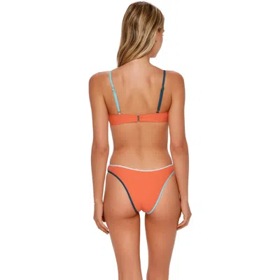 Swim Systems Dani Scoop Bikini Swim Bottoms In Multi