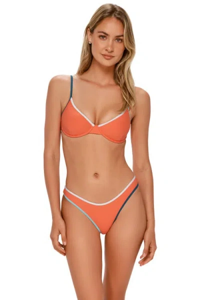 Swim Systems Dani Scoop Bikini Swim Bottoms In Multi