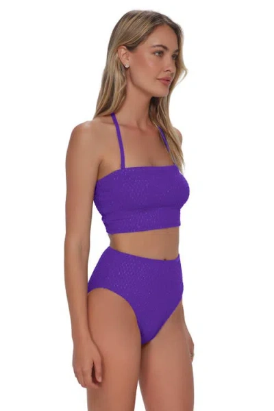 Pacifica By Sunsets Hannah High Waist Bikini Swim Bottoms In Purple