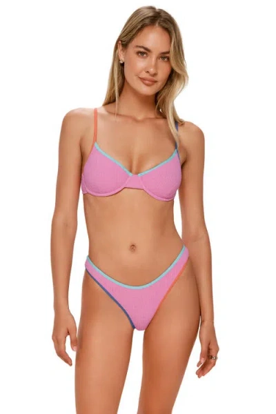 Swim Systems Dani Scoop Bikini Swim Bottoms In Multi