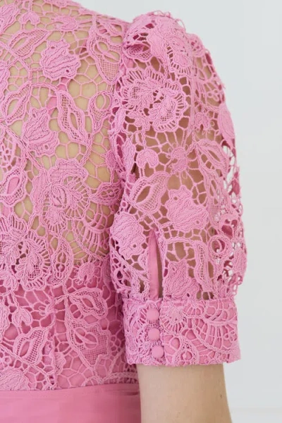 Vasiliki Ayah Collared Lace Gown In Pink