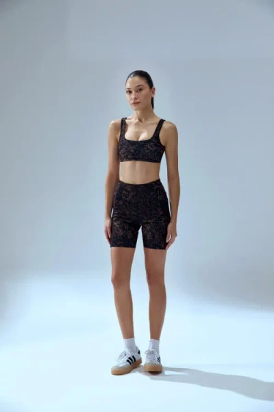 Pcfg Your *itch Kangaroo Bra In Brown