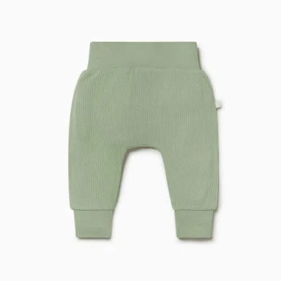 Mori Ribbed Comfy Joggers In Animal Print