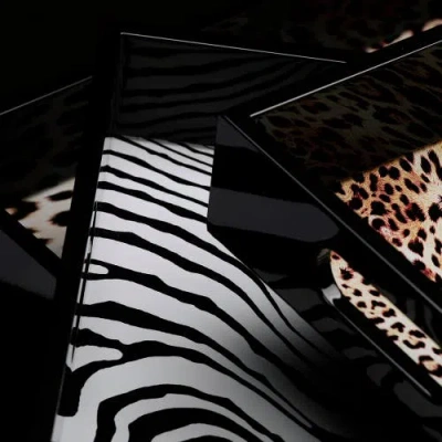 Cavalli Small Rectangular Tray In Black