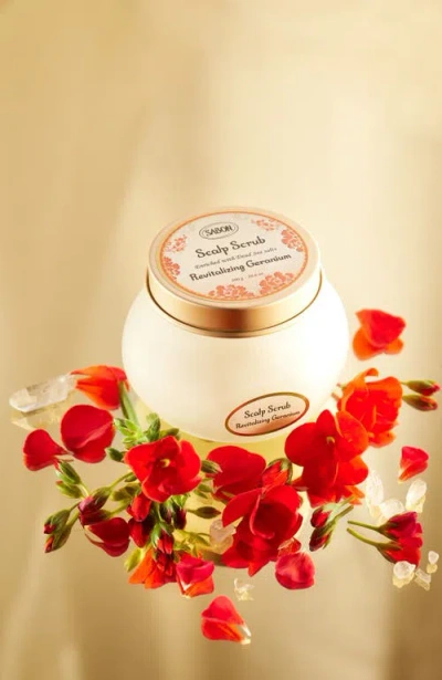 Sabon Hair Scalp Scrub In Transparent