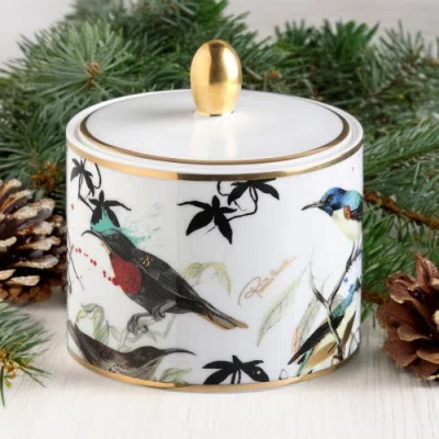 Cavalli Classic Sugar Pot In Multi