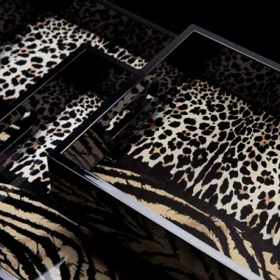 Cavalli Large Rectangular Tray In Brown