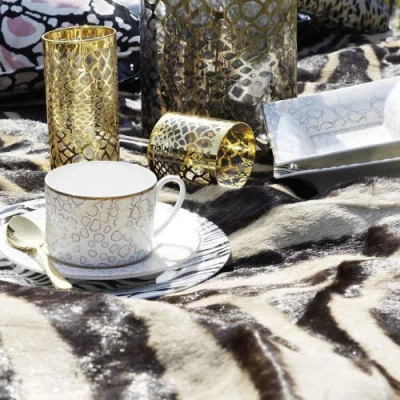 Cavalli Large Rectangular Tray In Multi
