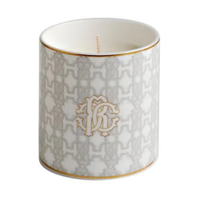 Cavalli Home Scented Candle In Gray