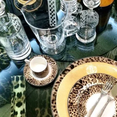 Cavalli Tea Cup & Saucer With Luxury Box In Brown