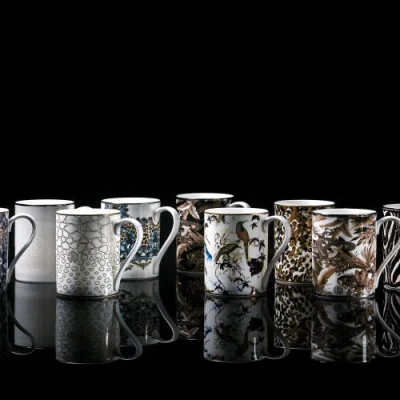 Cavalli Mug With Luxury Box In Multi