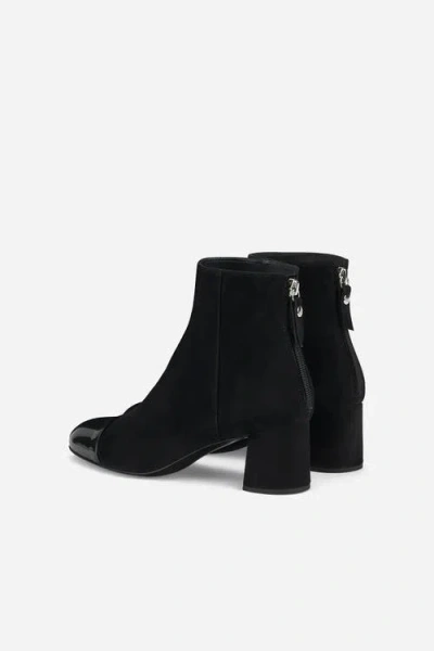 Agl Attilio Giusti Leombruni Agl Veta Cap Toe Velour Bootie With Heel In Multi