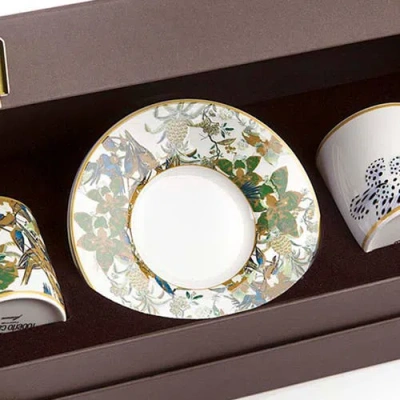 Cavalli Coffee Cup & Saucer With Luxury Box In Green