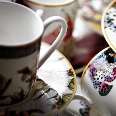 Cavalli Coffee Cup & Saucer With Luxury Box In Multi