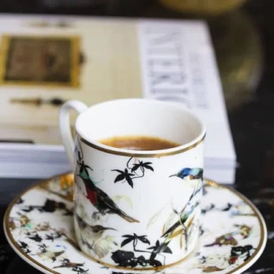 Cavalli Coffee Cup & Saucer With Luxury Box In Multi