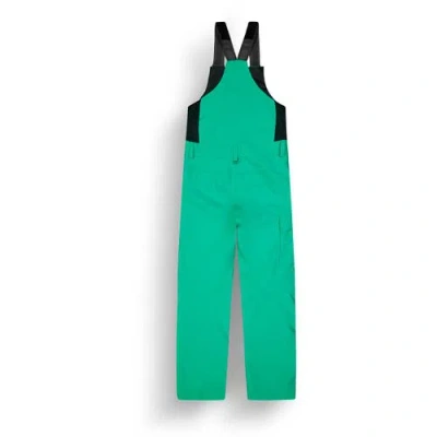 Picture Organic Brita Bib Pant In Green