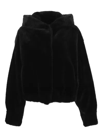 Bb Couture Hooded Jacket In Black
