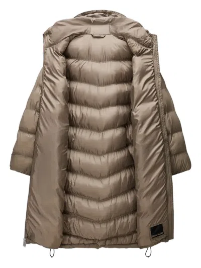 Napapijri Hooded Padded Coat In Brown