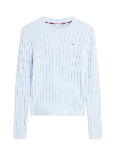 Tommy Hilfiger Cable-knit Logo Sweater In Blue