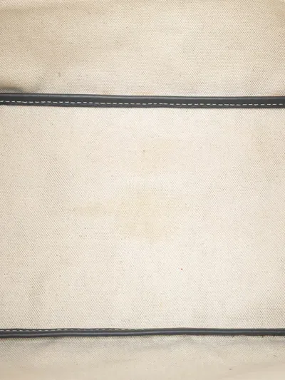 Pre-owned Goyard 2019 Ine Saint Louis Pm Tote Bag In Gray