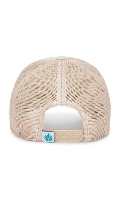 Sendero Provisions Co. Shoulda Been A Cowboy Trucker Hat In White