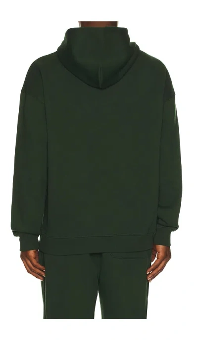 Huega House Icon Hoodie In Green