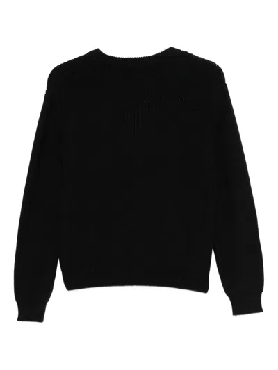 Msgm Kids Crew Neck Sweater With Logo In Black