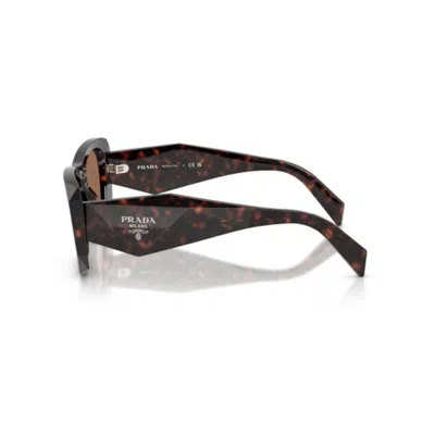 Prada Womens Pr B18s Square-frame Acetate Sunglasses Brown In Brown
