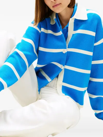 Tommy Hilfiger Striped Collared Cardigan In Blue