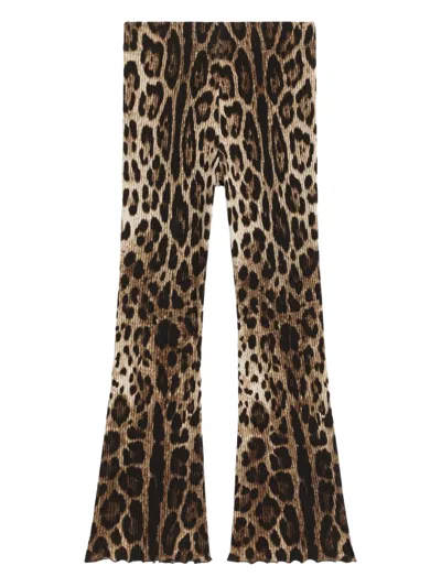 Dolce & Gabbana Leopard-pattern Trousers In Multi
