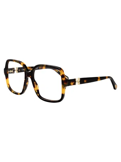 Chloé Ch0335o Glasses In Black