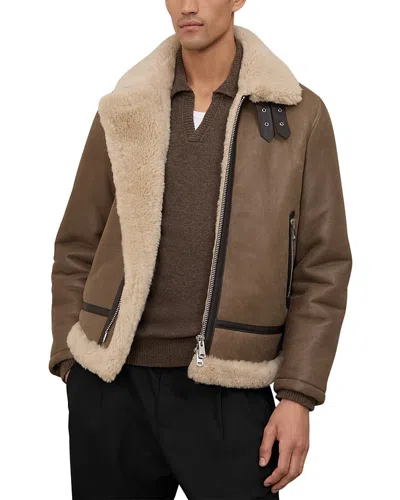 Reiss Hardy Genuine Shearling Trim Aviator Jacket In Brown