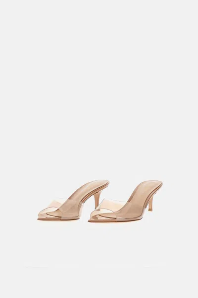 Gianvito Rossi Elle 55 Mule In Brown