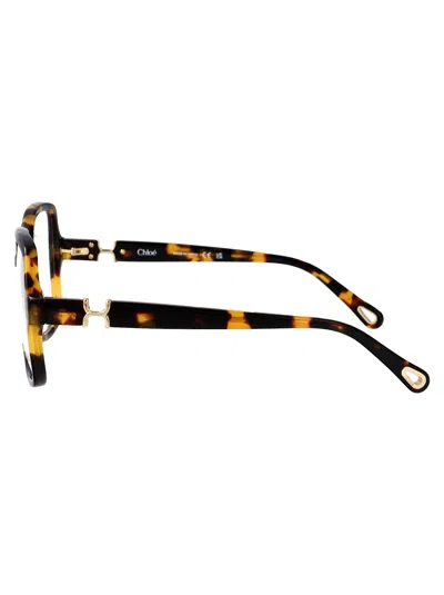 Chloé Ch0335o Glasses In Multi