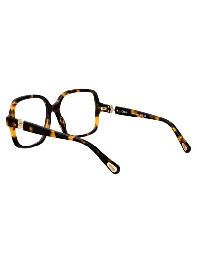 Chloé Ch0335o Glasses In Multi