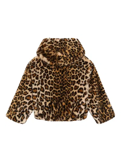 Dolce & Gabbana Hooded Leopard-pattern Jacket In Brown