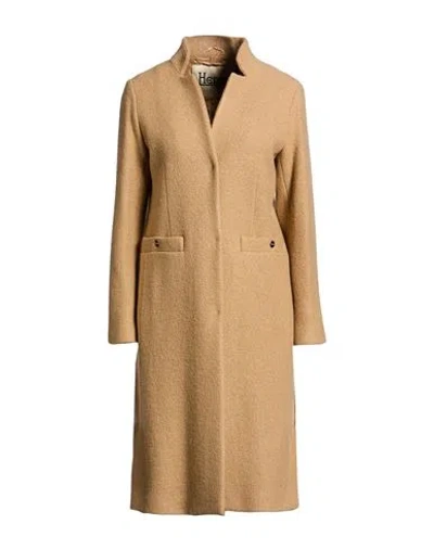 Herno Woman Coat Beige Size 6 Virgin Wool, Polyester In Gold