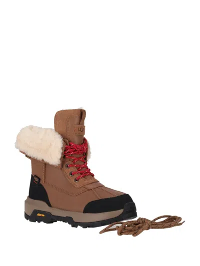 Ugg W Adirondack Boot Xxv In Brown