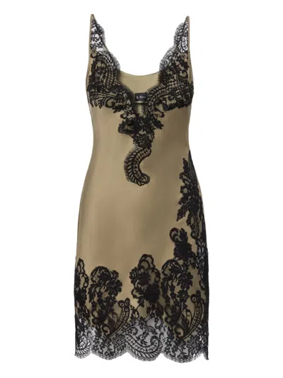 Il Volo Cara Lace-detail Mini Dress In Brown