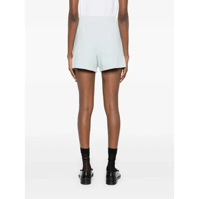 Anine Bing Shorts Blue In Blue