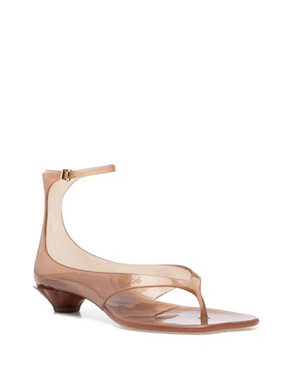 Chloé Jelly Brown Sandals With Logo Imprinted On The Side And Ankle Buckle Closure In Tpu Woman In Brown