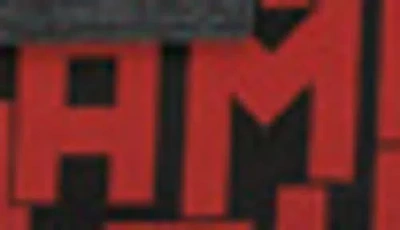 Longchamp Le Pliage Lgp Cosmetic Pouch